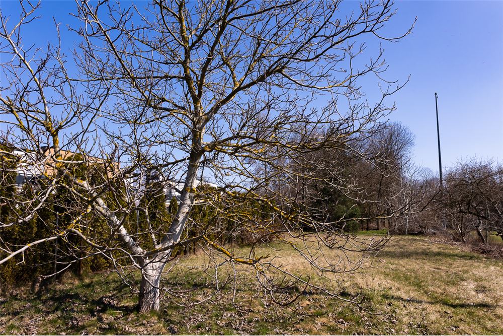 Działka budowlana - Sprzedaż - Łódź, Polska - 1 - 470291004-247