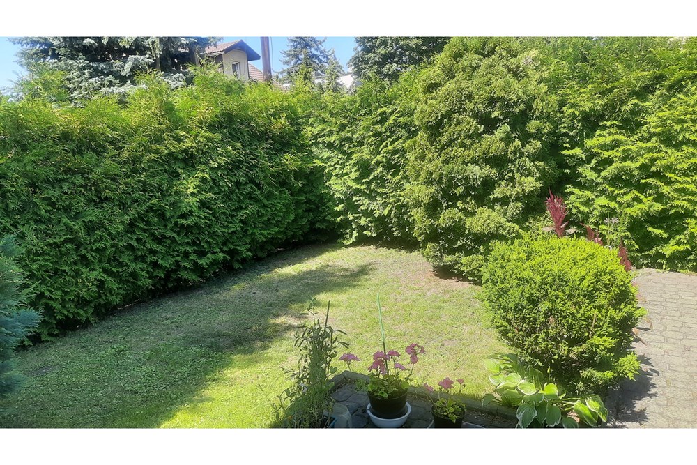 Dom bliźniak - Sprzedaż - Łódź, Polska - 20250812_125827.jpg - 470291003-13