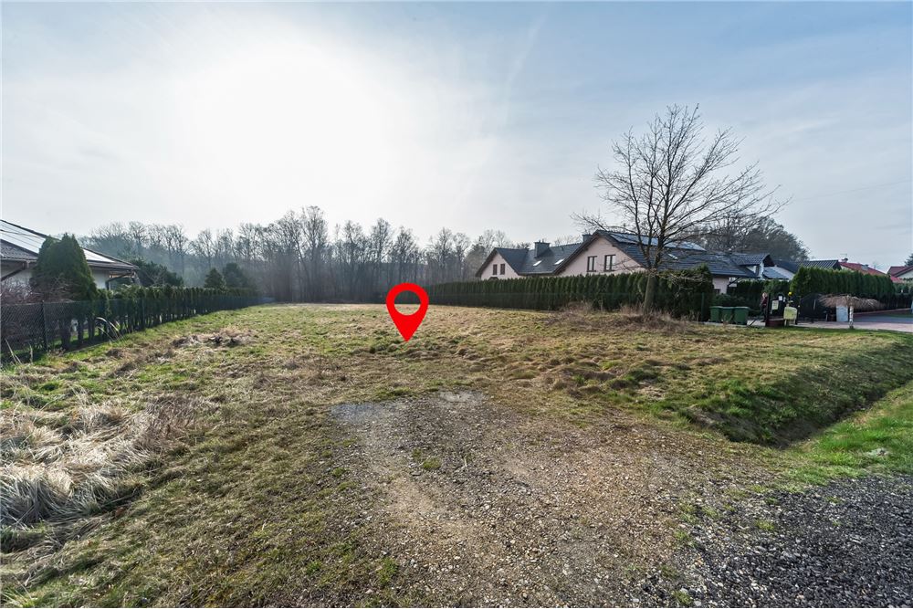 Działka budowlana - Sprzedaż - Pisarzowice, Polska - 10 - 800061129-8