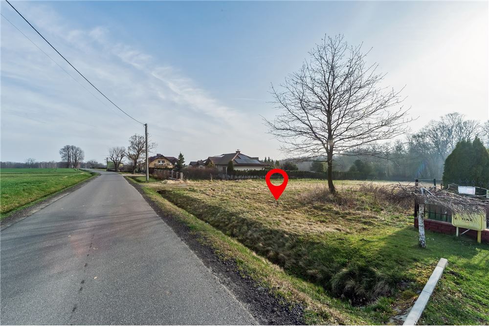 Działka budowlana - Sprzedaż - Pisarzowice, Polska - 8 - 800061129-8