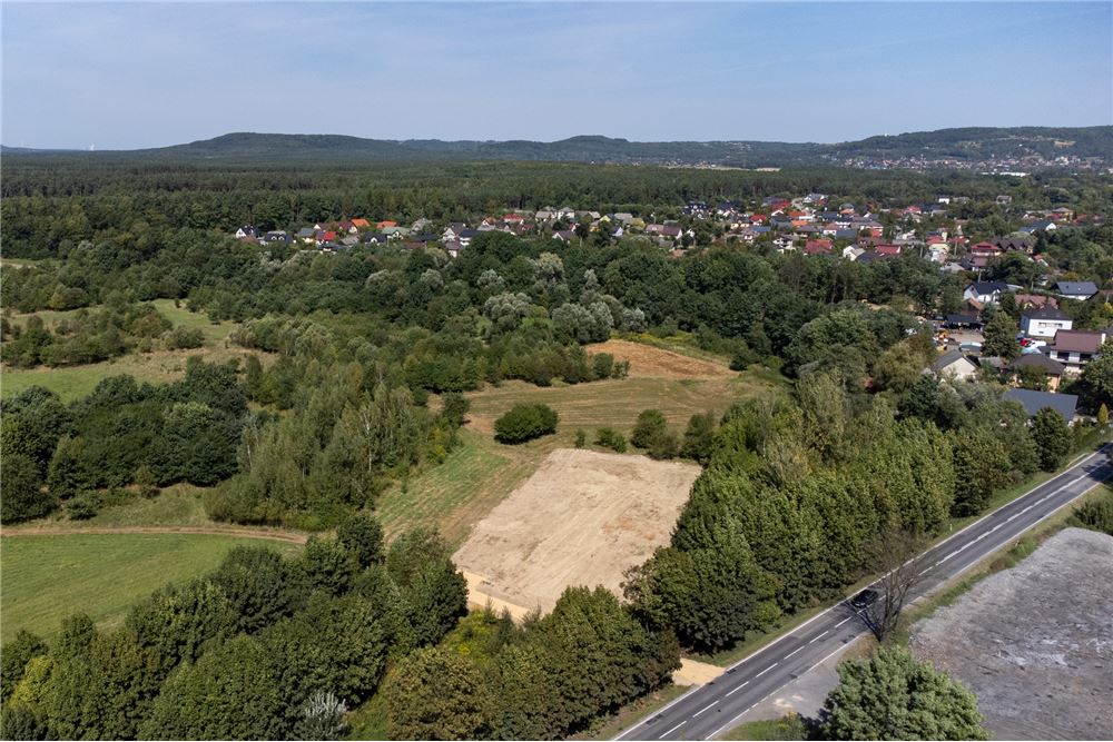 Działka - Sprzedaż - Jankowice, Polska - 9 - 800061103-174