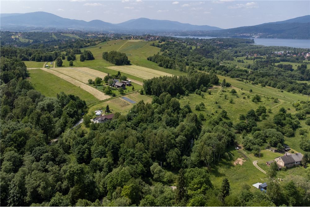 Działka budowlana - Sprzedaż - Rychwałd, Polska - 60 - 800061103-169