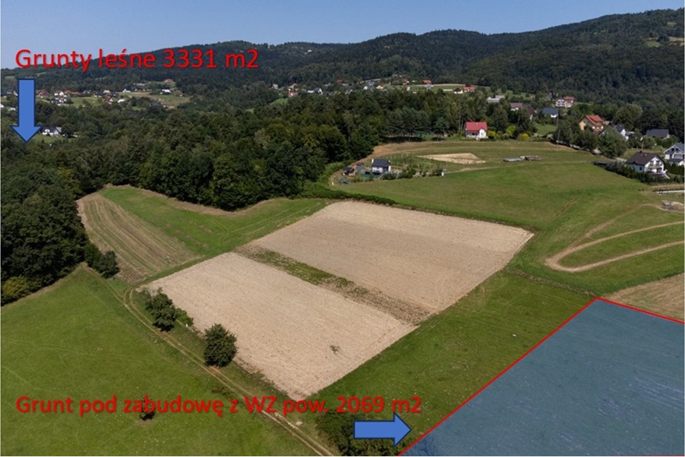 Działka - Sprzedaż - Młynne, Polska - współne.jpg - 800061103-179