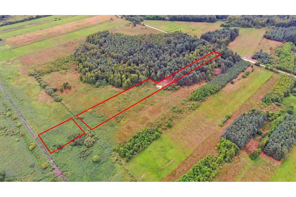 Nieruchomość gruntowa - Sprzedaż - Rudniki-Kolonia, Polska - Koniecpol (3).jpg - 800041074-18