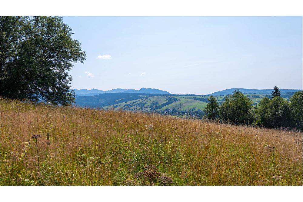 Nieruchomość gruntowa - Sprzedaż - Dzianisz, Polska - 40 - 800061116-23