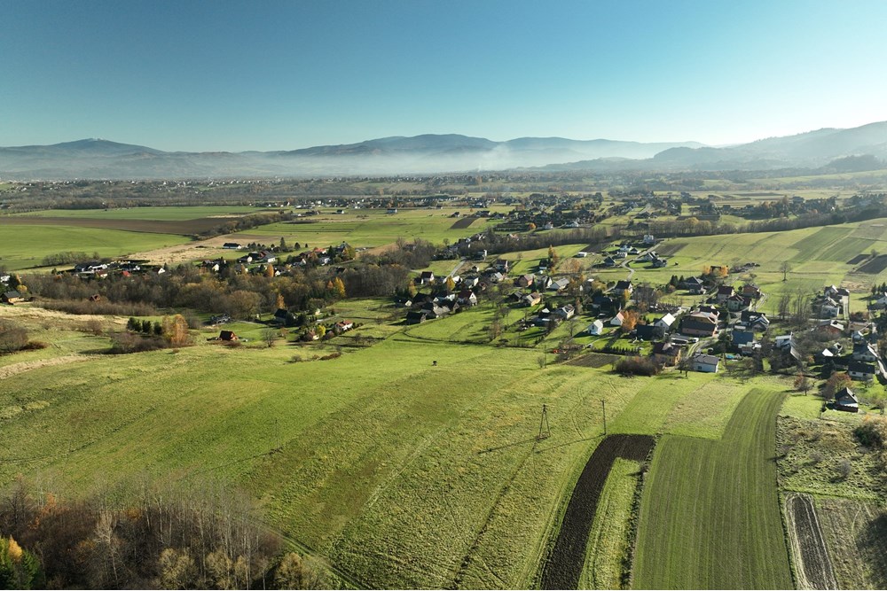 Działka - Sprzedaż - Lipowa, Polska - DJI_0154.JPG - 800061133-2