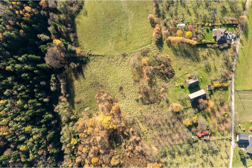 Dom wolnostojący - Sprzedaż - Krasne-Lasocice, Polska - 20251107-DJI_0604-HDR.jpg - 800241017-143