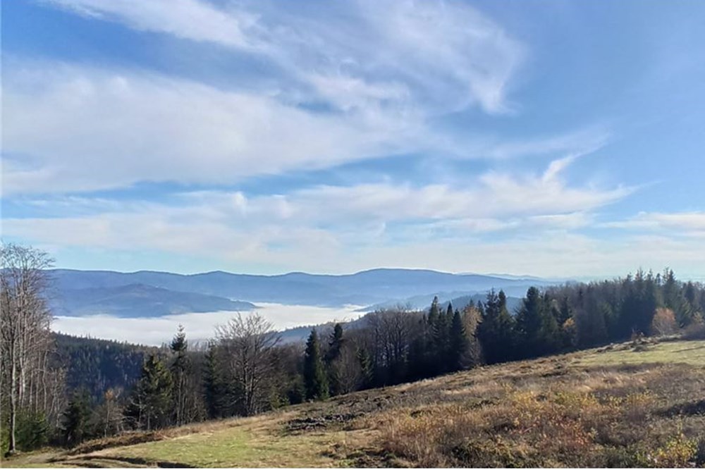 Działka - Sprzedaż - Wisła, Polska - 5 - 470131058-366