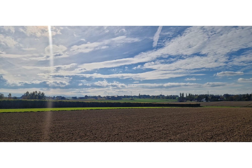 Działka - Sprzedaż - Pruchna, Polska - WhatsApp Image 2025-10-23 at 11.59.45 (3).jpeg - 470131058-381