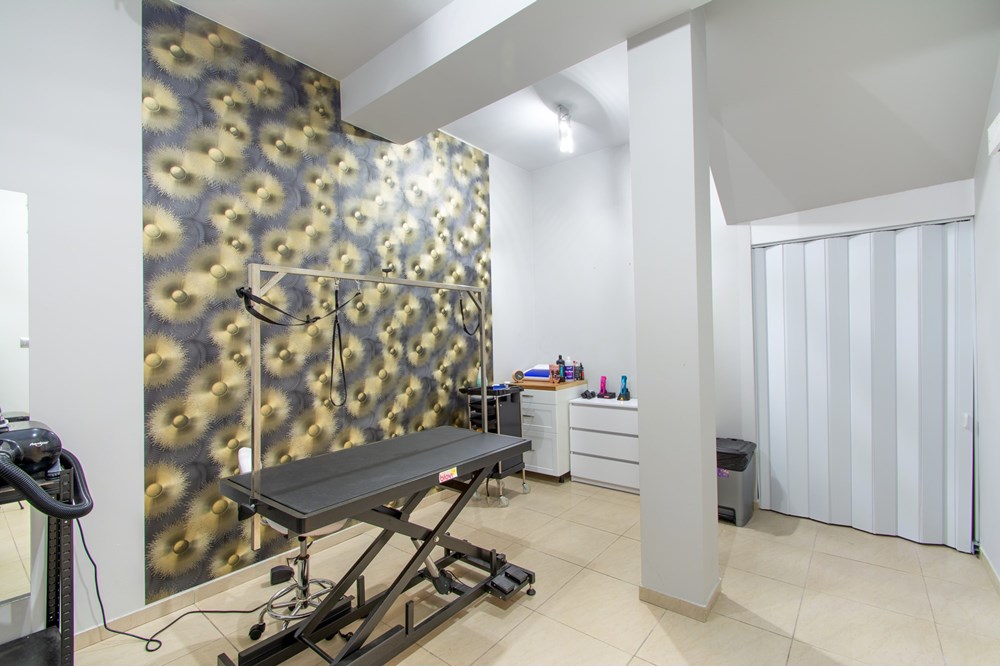 Lokal handlowy/usługowy - Sprzedaż - Kołobrzeg, Polska - DSC_0007.jpg - 790221004-137