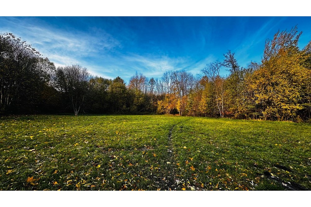 Działka - Sprzedaż - Bielsko-Biała, Polska - Zdjęcie WhatsApp 2025-10-25 o 12.48.38_93cfe664.jpg - 800061109-41