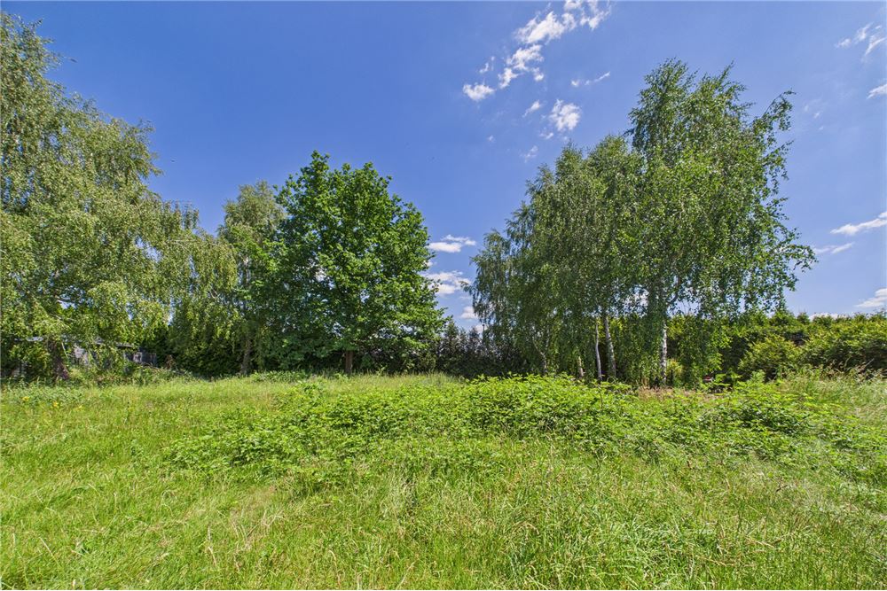 Działka budowlana - Sprzedaż - Żory, Polska - 1 - 470311001-39