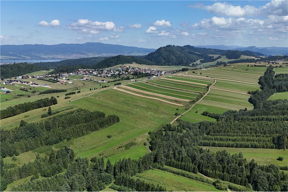 Działka budowlana - Sprzedaż - Dursztyn, Polska - 14 - 800091040-93