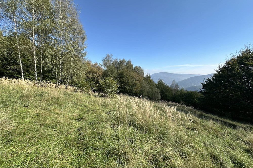 Działka budowlana - Sprzedaż - Międzybrodzie Bialskie, Polska - IMG_1827.jpg - 800061103-193