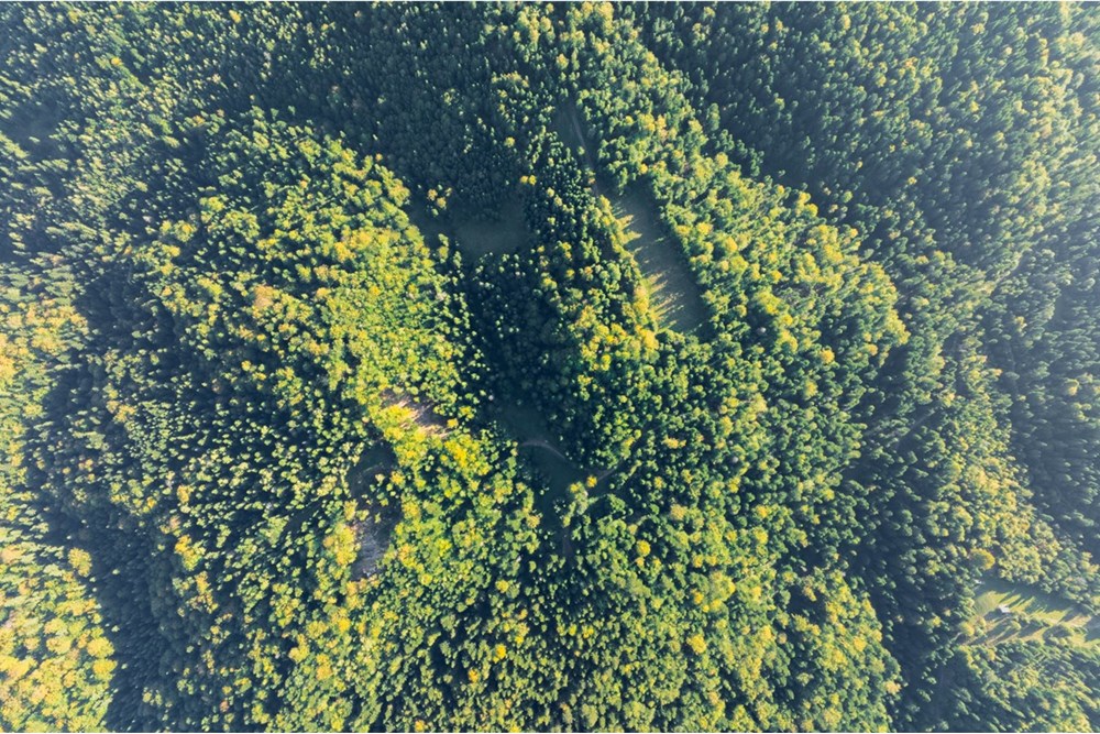 Działka - Sprzedaż - Harklowa, Polska - 20251004-DJI_0210-HDR.jpg - 470151024-458