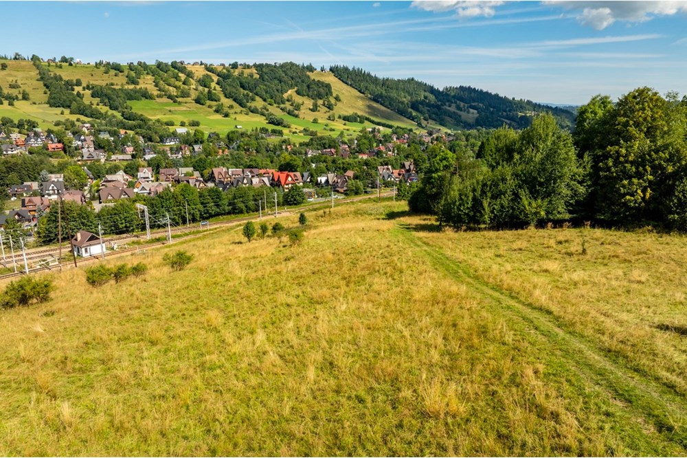 Działka - Sprzedaż - Zakopane, Polska - Artur Zając remax  (10).jpg - 800091026-83