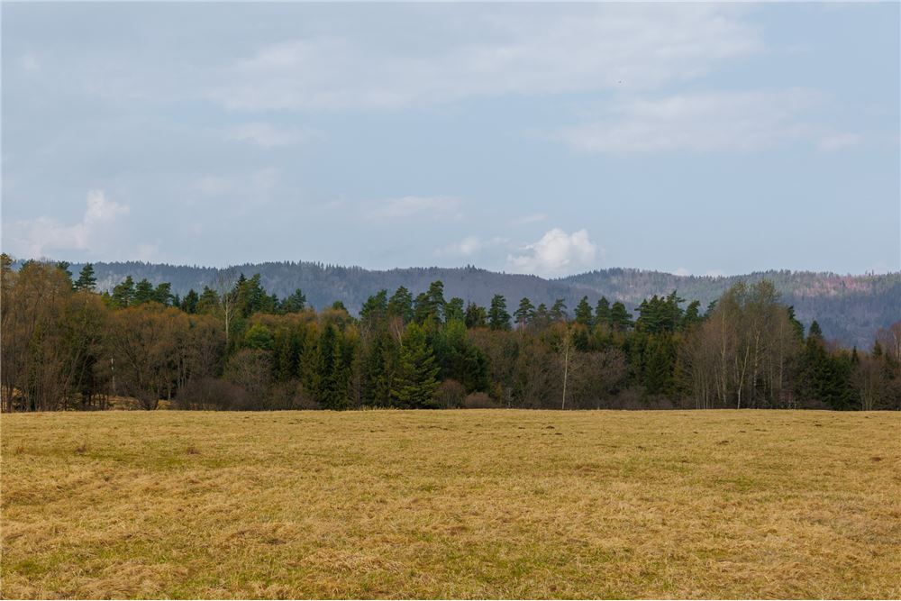 Działka - Sprzedaż - Sopotnia Wielka, Polska - 6 - 800061057-192