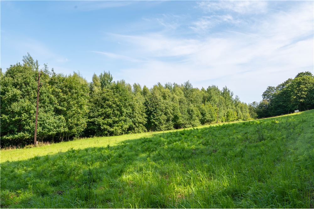 Działka - Sprzedaż - Tarnawa Dolna, Polska - 58 - 800061116-22