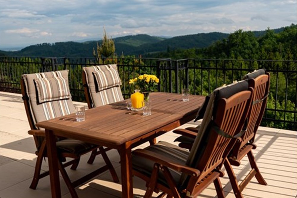 Rezydencja/Willa/Dworek - Sprzedaż - Srebrna Góra, Polska - 007 widok z tarasu.jpg - 800271021-13