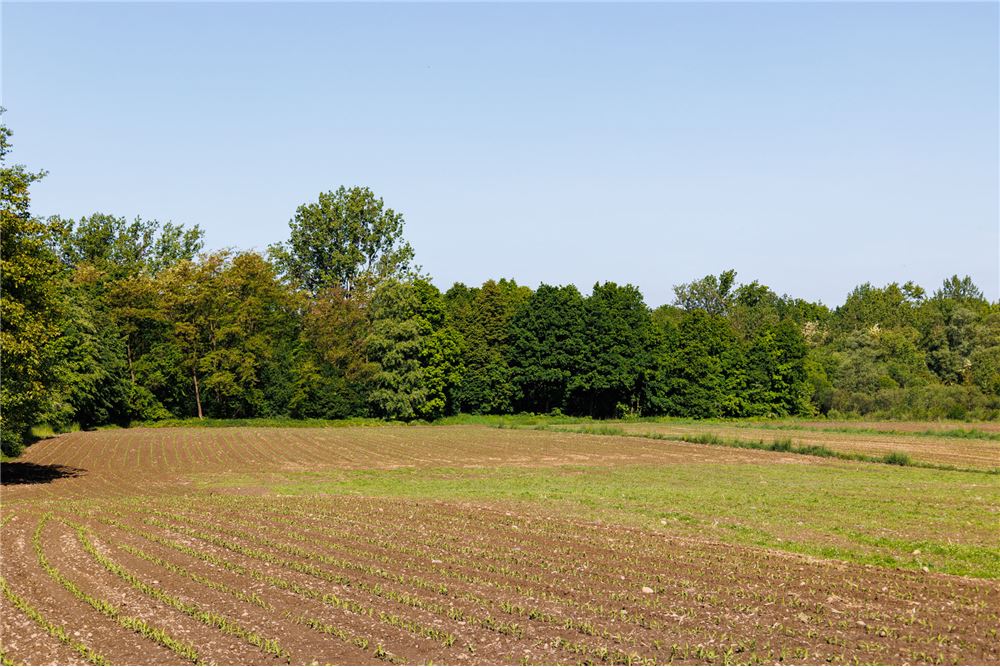 Działka - Sprzedaż - Grojec, Polska - 4 - 800061107-96