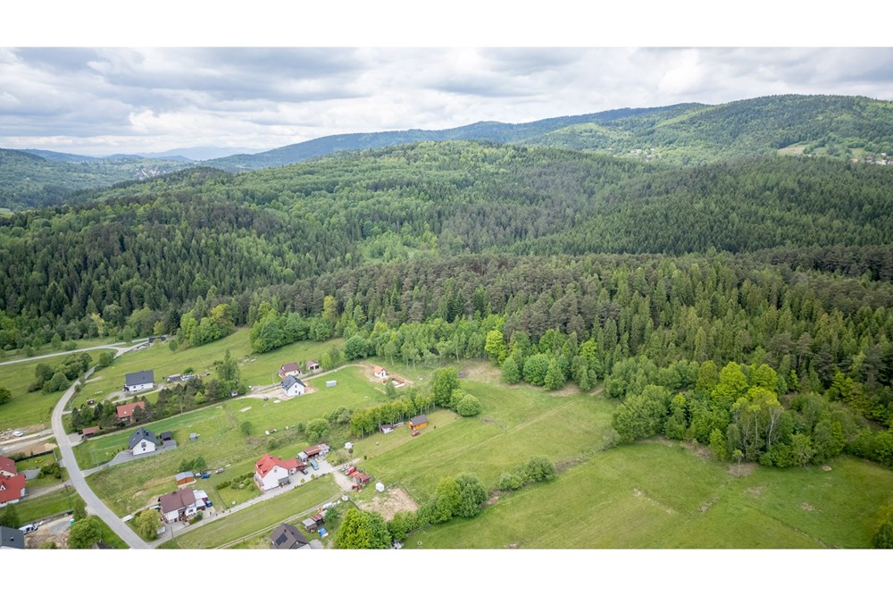 Działka - Sprzedaż - Krzeszów, Polska - DJI_0388.jpg - 470131112-7