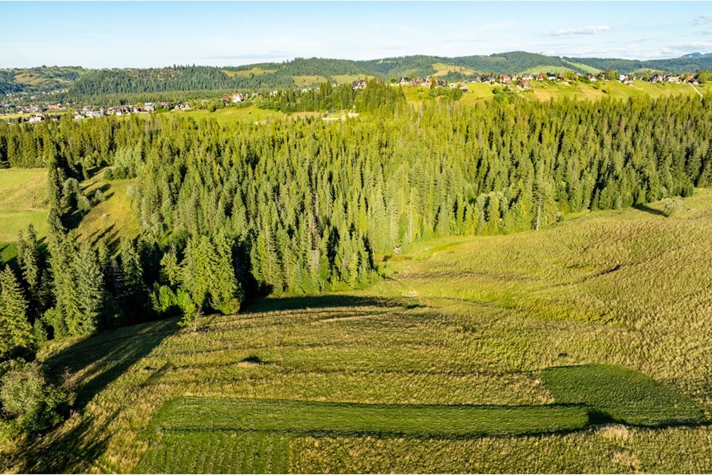 Działka - Sprzedaż - Zakopane, Polska - 20250826-DJI_0073-HDR.jpg - 470151024-450
