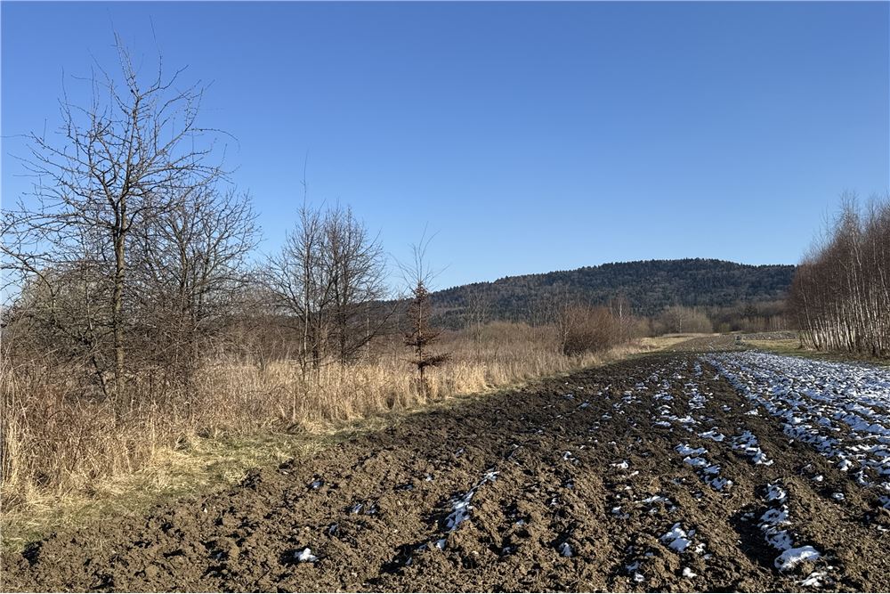 Działka - Sprzedaż - Chocznia, Polska - 13 - 800061100-79