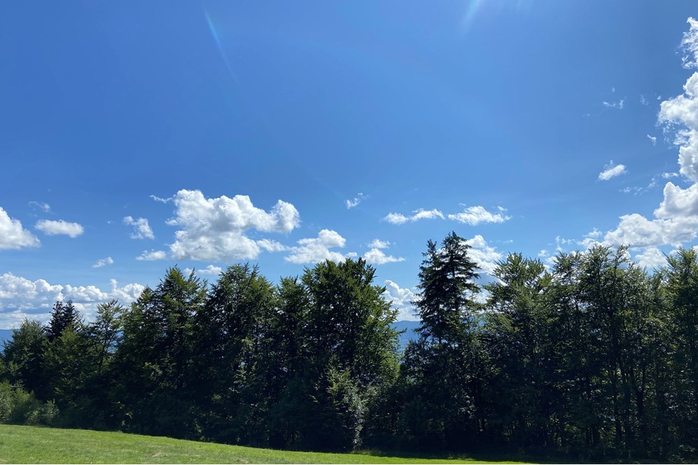 Działka - Sprzedaż - Wilkowice, Polska - IMG_9712.jpeg - 800061116-26