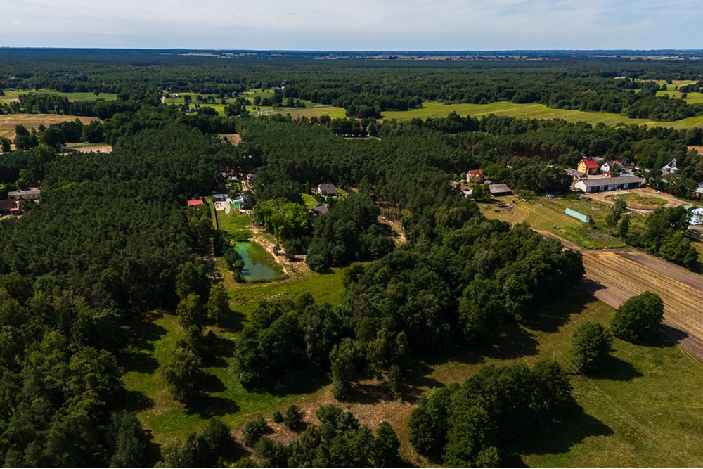 Domek wiejski - Sprzedaż - Człopy, Polska - działka-25.jpg - 470291004-262