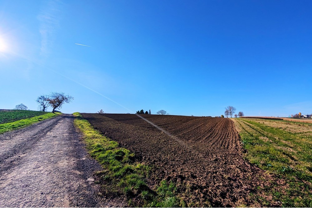 Nieruchomość inwestycyjna - Sprzedaż - Rudnik, Polska - e015d209-778d-4106-a3e9-7879f21f9eb3.jpg - 470311007-9