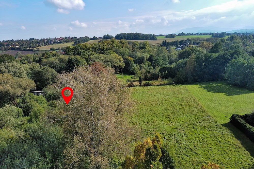 Nieruchomość inwestycyjna - Sprzedaż - Cieszyn, Polska - 12.JPG - 800061016-1288