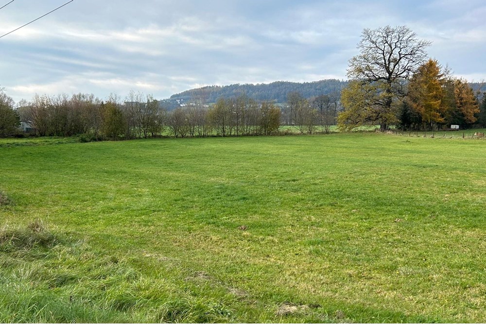 Działka budowlana - Sprzedaż - Kozakowice Górne, Polska - 1000047702.jpg - 800061030-126