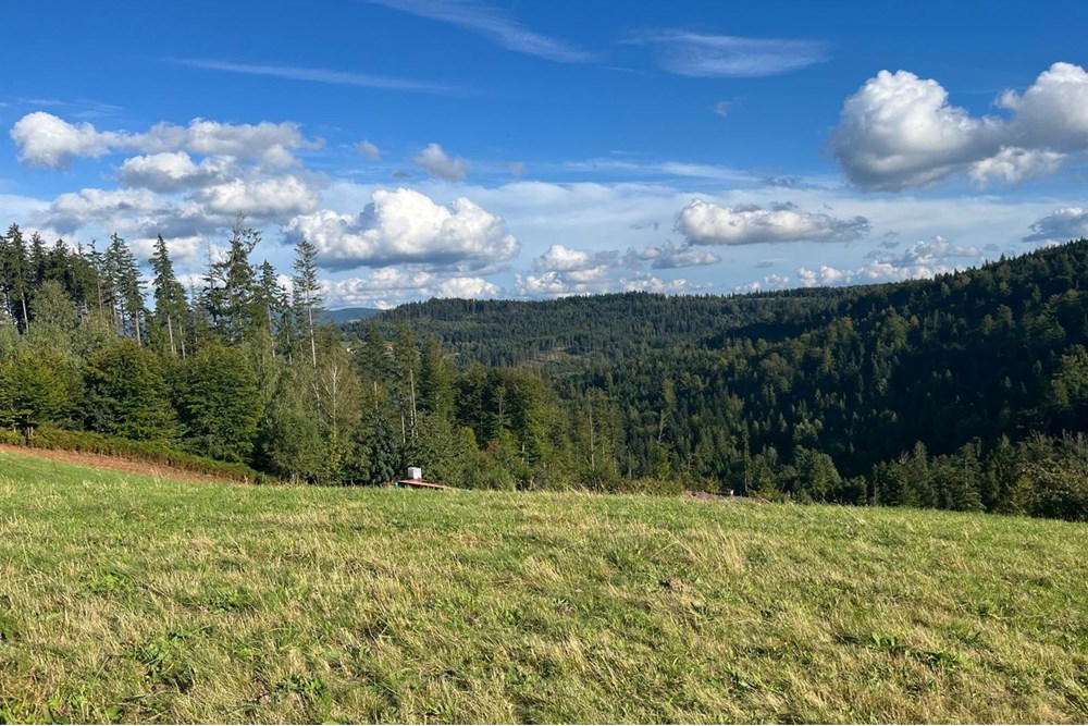 Działka - Sprzedaż - Wisła, Polska - IMG-20250911-WA0006.jpg - 470131058-373