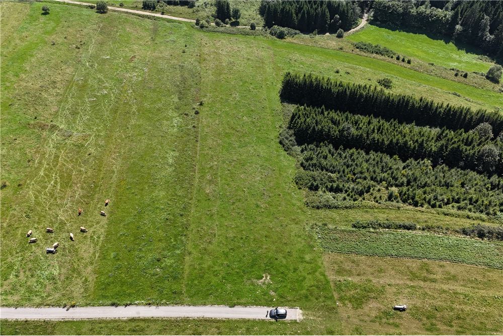 Działka budowlana - Sprzedaż - Dursztyn, Polska - 9 - 800091040-93