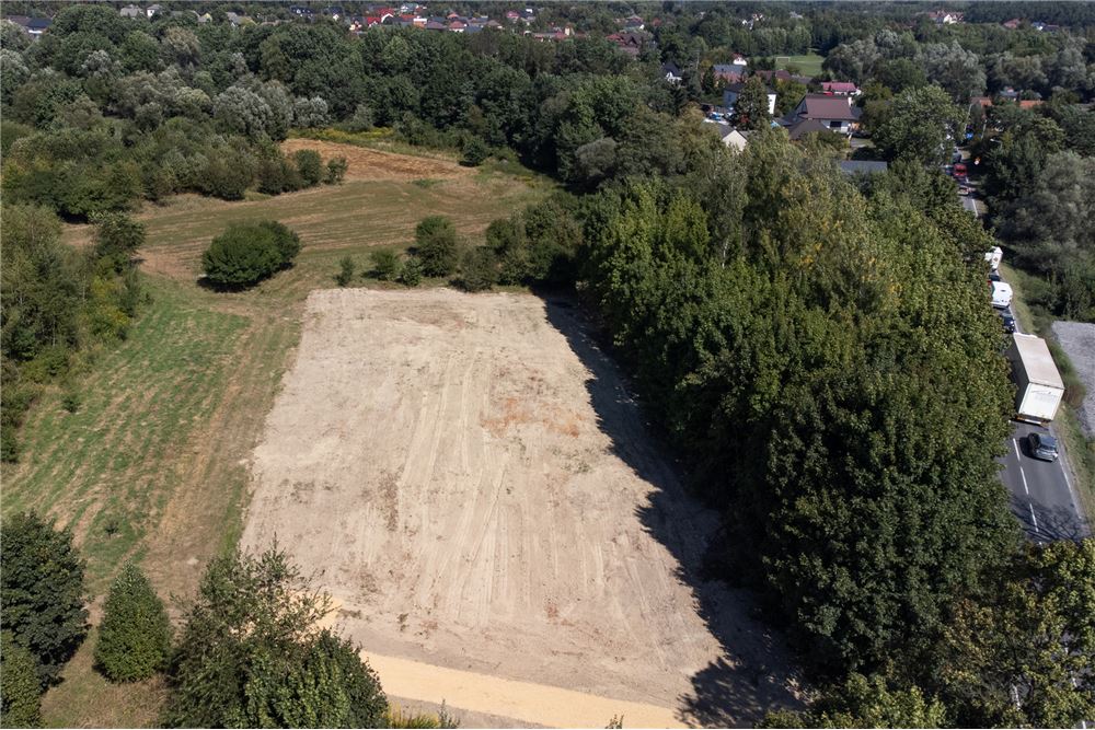 Działka - Sprzedaż - Jankowice, Polska - 12 - 800061103-174