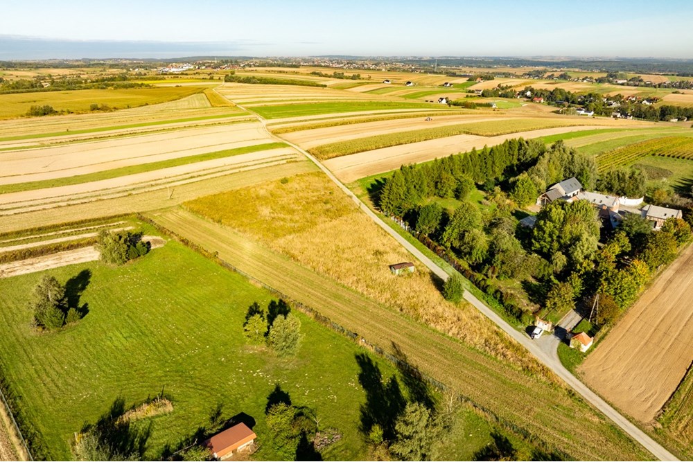 Działka budowlana - Sprzedaż - Skała, Polska - 20250927-DJI_0491-HDR.jpg - 800241031-45