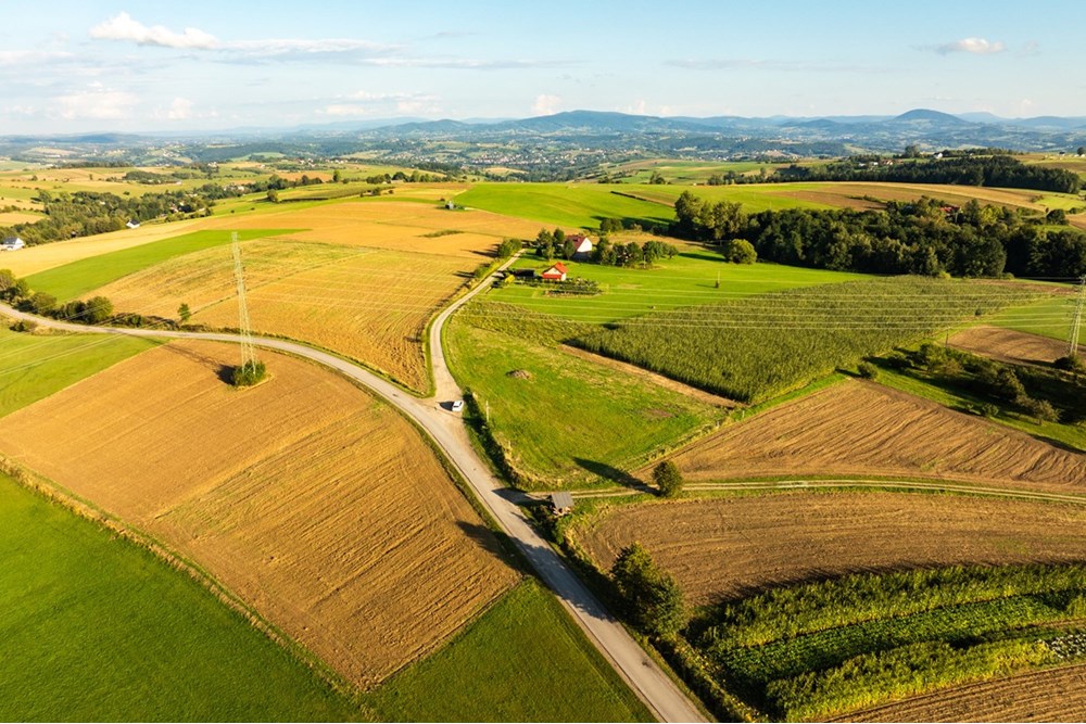 Działka budowlana - Sprzedaż - Ciężkowice, Polska - 20250909-DJI_0291-HDR.jpg - 800241031-43