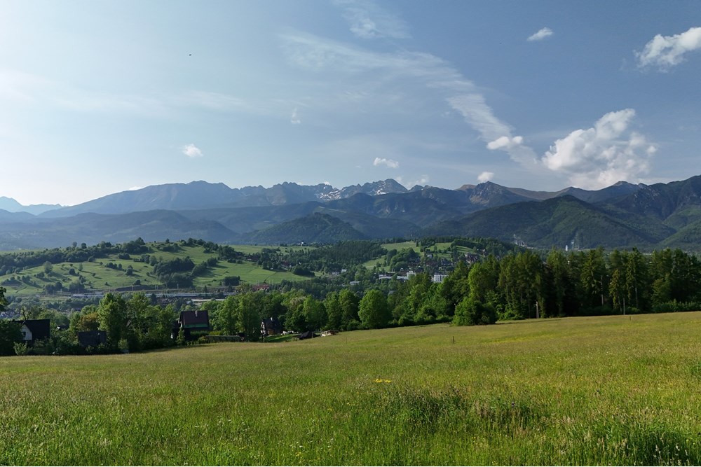 Nieruchomość gruntowa - Sprzedaż - Zakopane, Polska - DJI_20250607080147_0923_D.JPG - 800091054-33