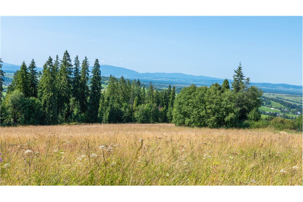 Nieruchomość gruntowa - Sprzedaż - Dzianisz, Polska - 34 - 800061116-23