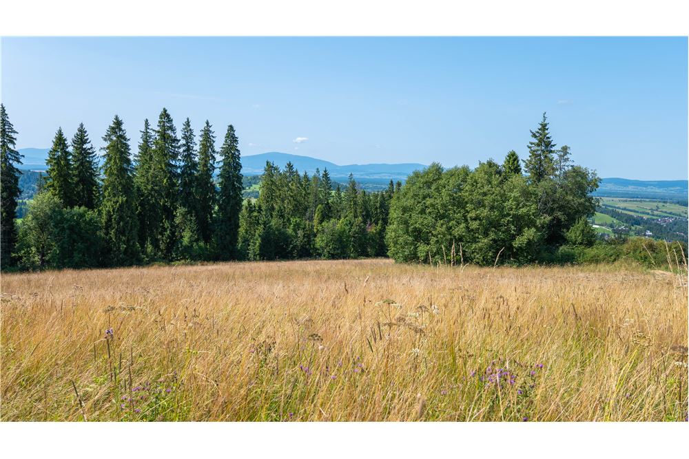 Nieruchomość gruntowa - Sprzedaż - Dzianisz, Polska - 42 - 800061116-23