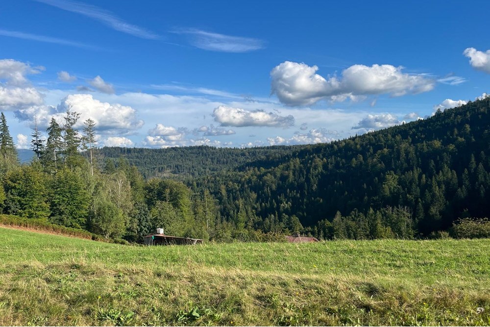 Działka - Sprzedaż - Wisła, Polska - IMG-20250911-WA0012.jpg - 470131058-373