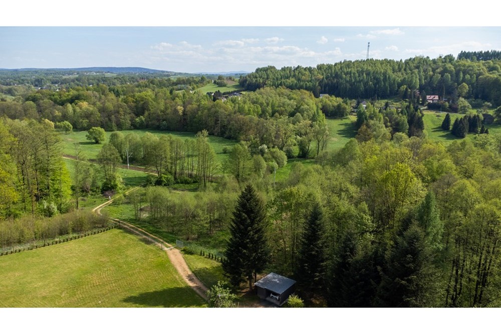 Działka - Sprzedaż - Barwałd Średni, Polska - BARWAŁD ŚREDNI_9.JPG - 470131106-29