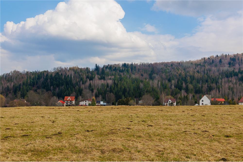 Działka - Sprzedaż - Sopotnia Wielka, Polska - 8 - 800061057-192