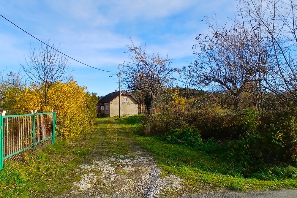 Dom wolnostojący - Sprzedaż - Krasne-Lasocice, Polska - 20251031_134949.jpg - 800241017-143