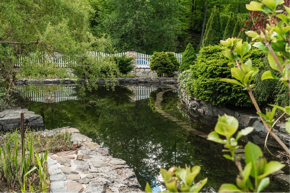 Rezydencja/Willa/Dworek - Sprzedaż - Ponikiew, Polska - IMG_1316.jpeg - 800061126-8