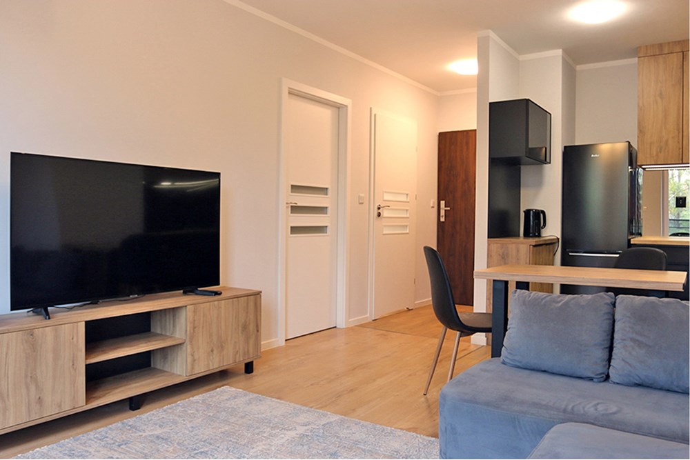 Mieszkanie - Wynajem - Katowice, Polska - 13.JPG - 800041001-899