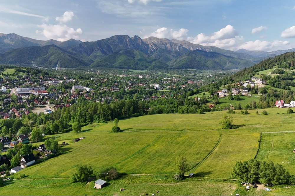 Nieruchomość gruntowa - Sprzedaż - Zakopane, Polska - DJI_20250607080638_0945_D.JPG - 800091054-33
