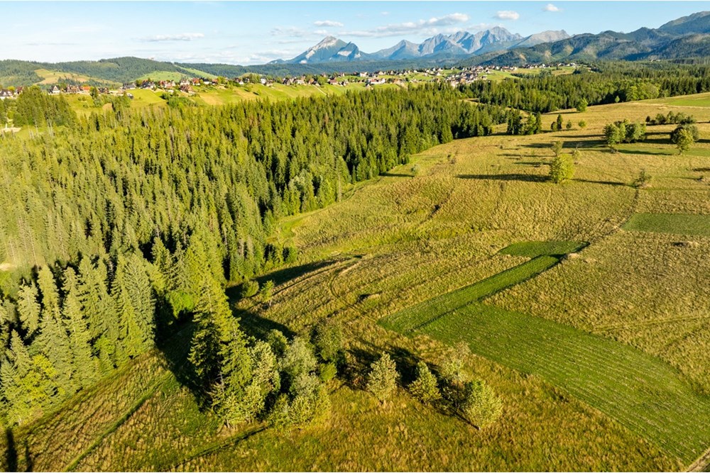 Działka - Sprzedaż - Zakopane, Polska - 20250826-DJI_0070-HDR.jpg - 470151024-450