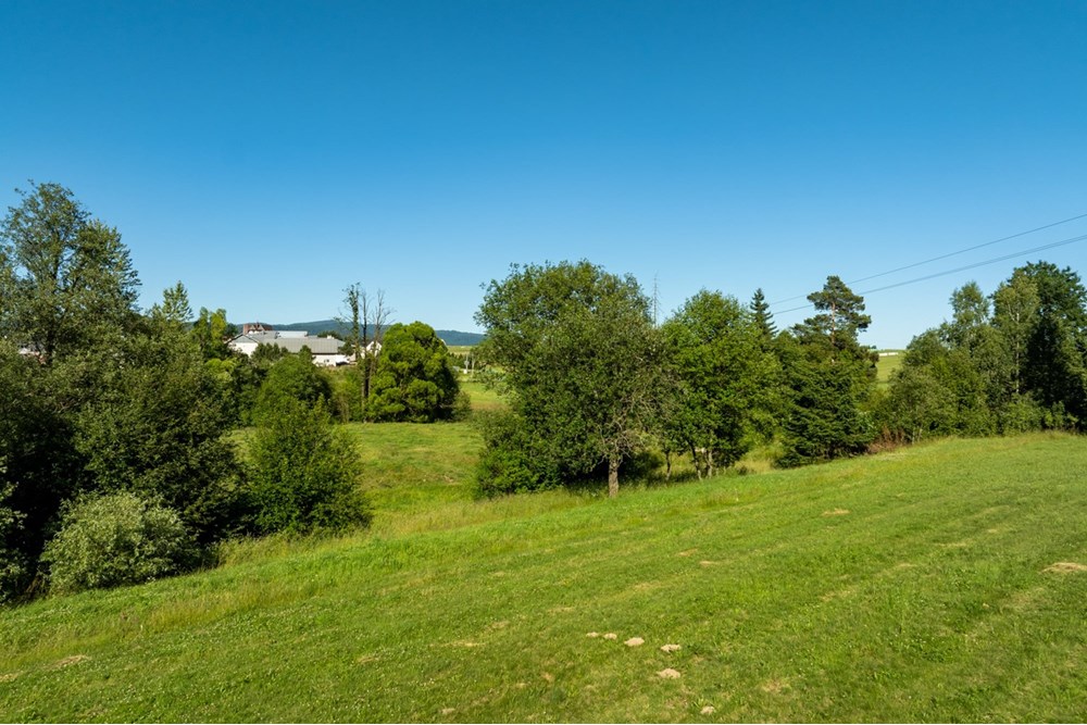 Działka budowlana - Sprzedaż - Morawczyna, Polska - DJI_0730-HDR-24.jpg - 470151039-45