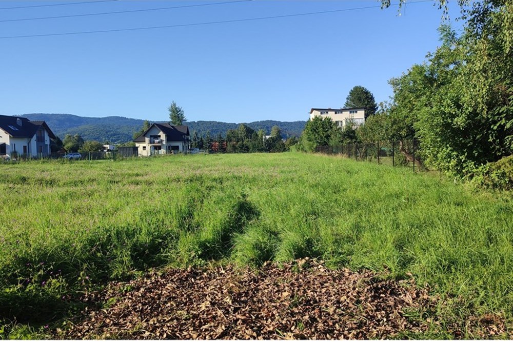 Działka budowlana - Sprzedaż - Pietrzykowice, Polska - IMG_20250812_175853.jpg - 800061133-8